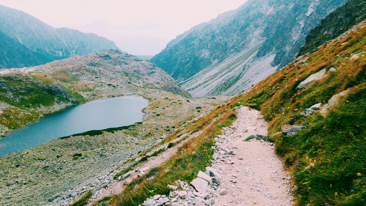 tatra
