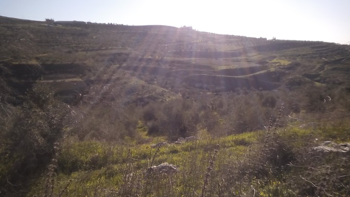 sun