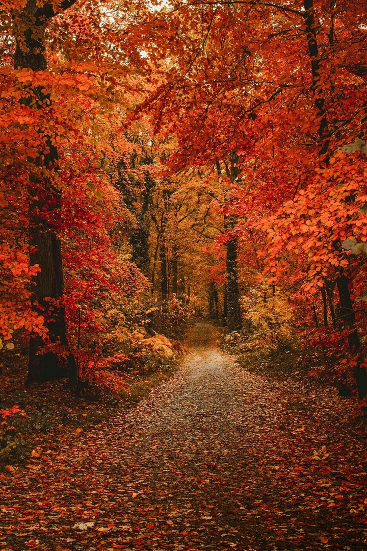 осінь