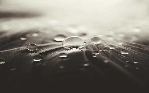 fondos de pantalla photography, Water