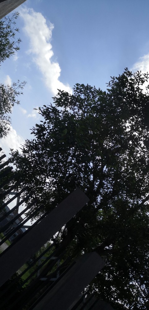 Green Blue