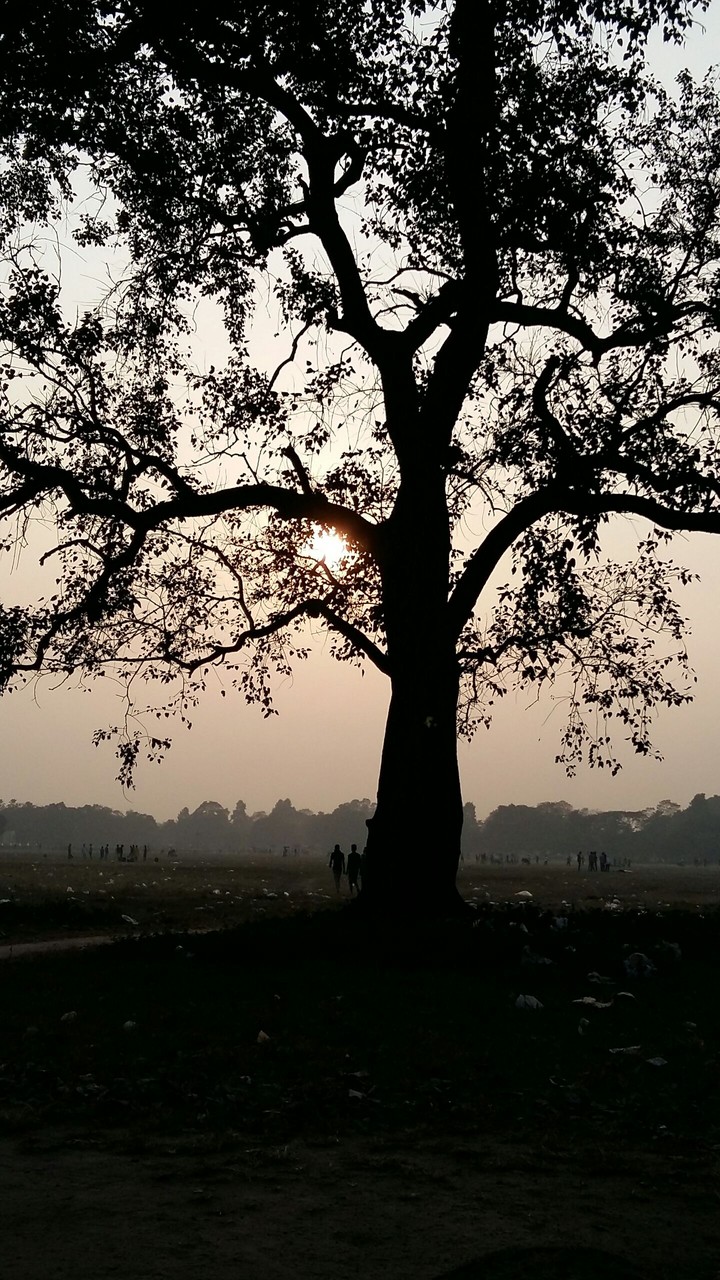sunset