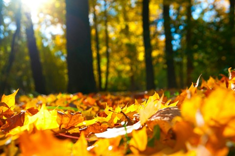 october