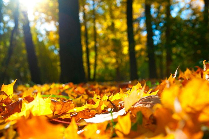 october