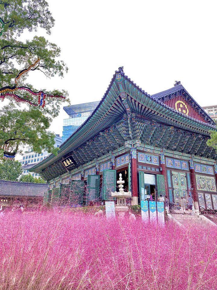 jokyesa