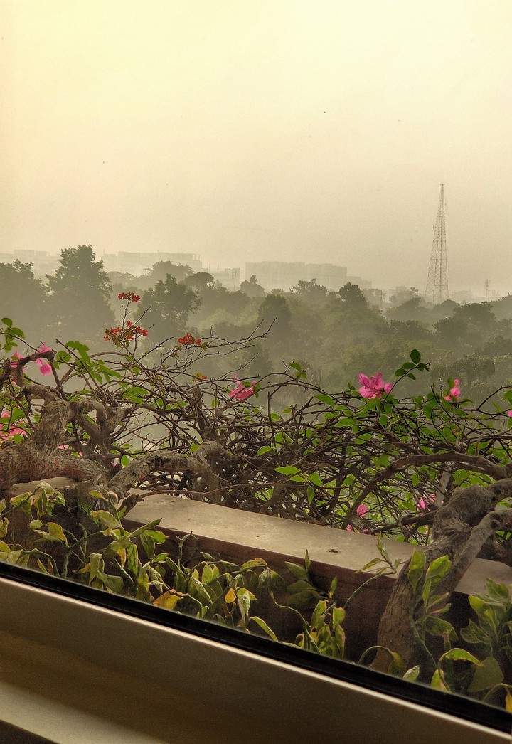 balcony view