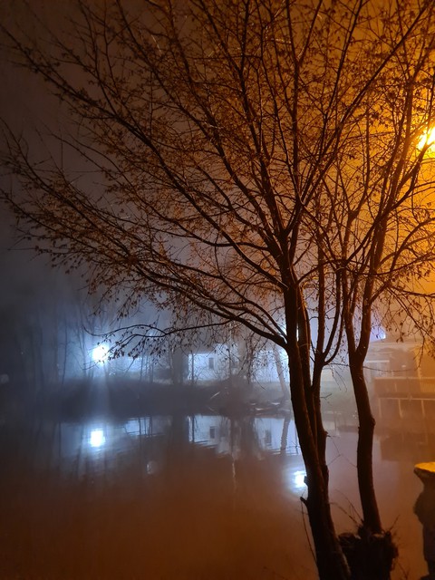 mystic fog