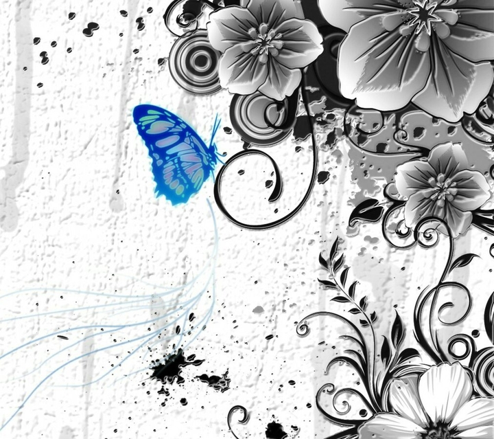 butterfly