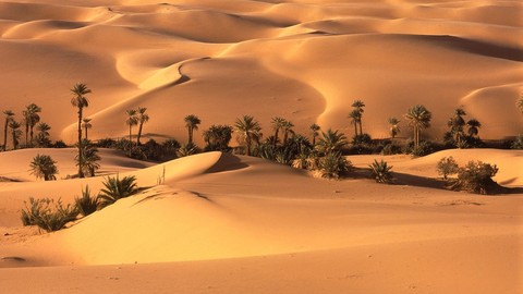 sahara
