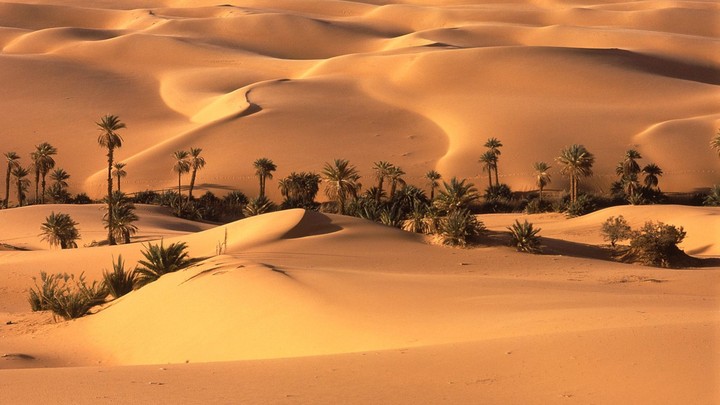 sahara