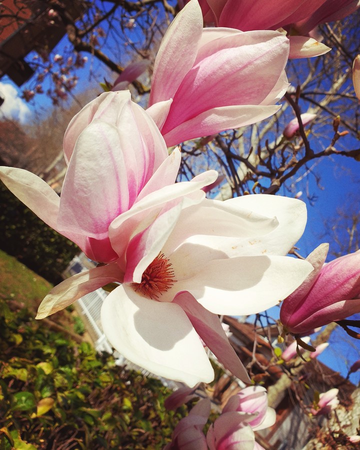 spring time