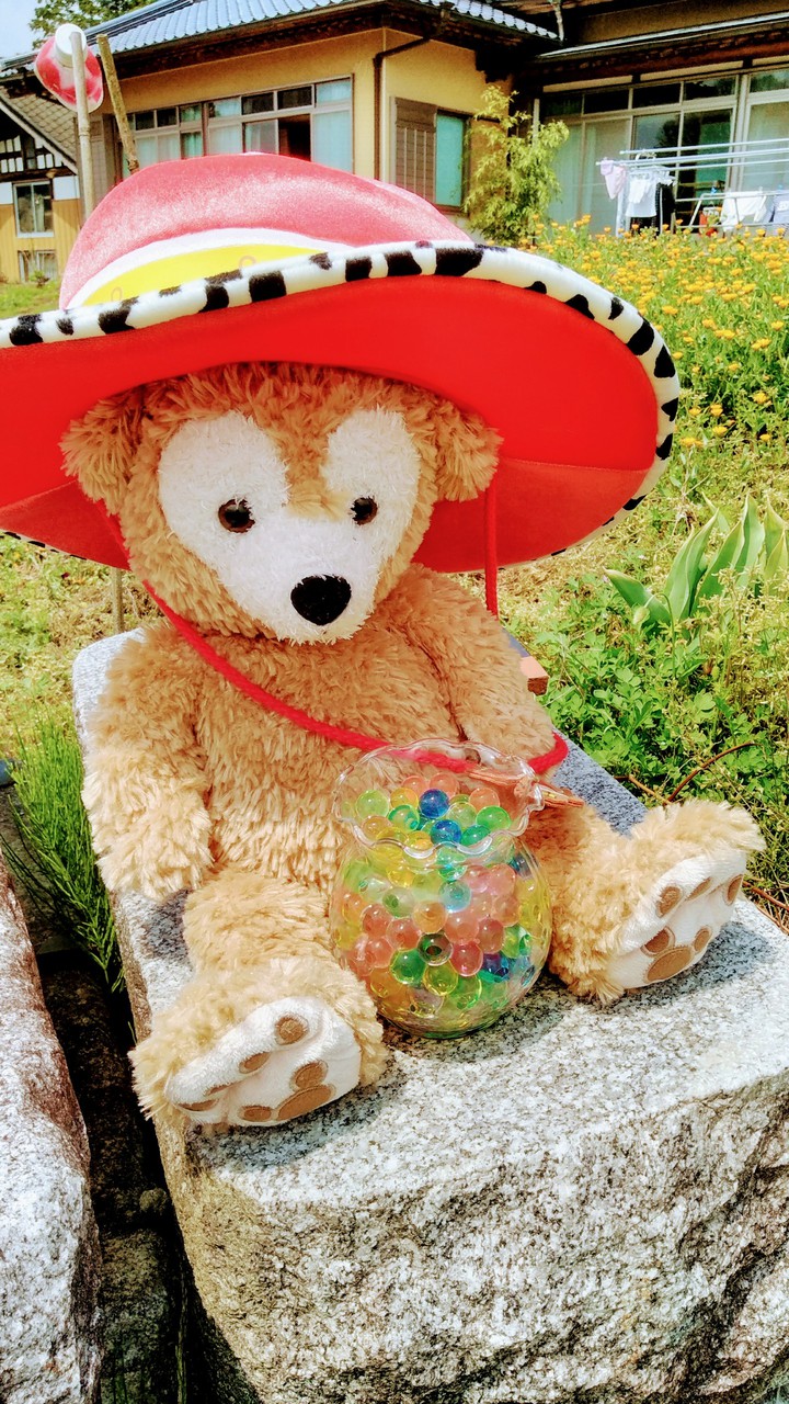 teddybear