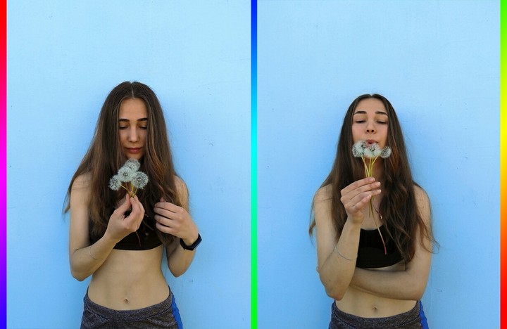 Dandelions