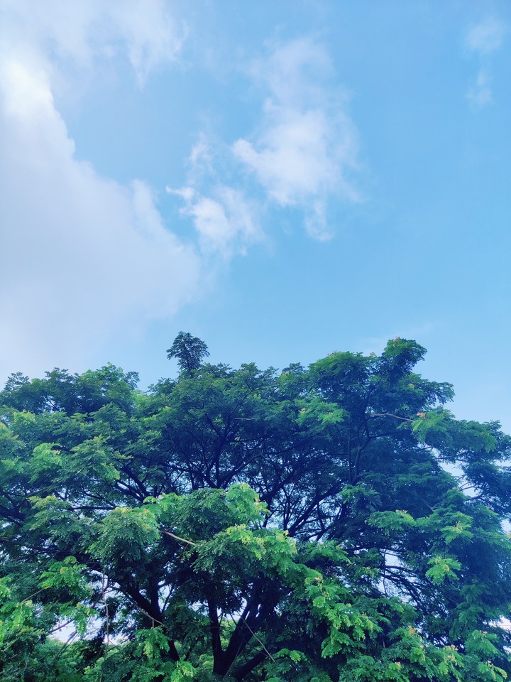 sky