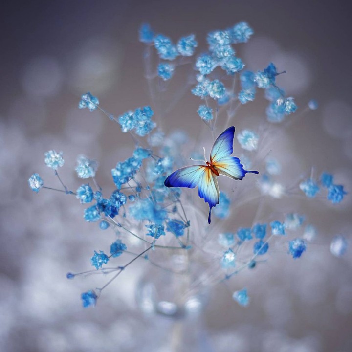 Blue