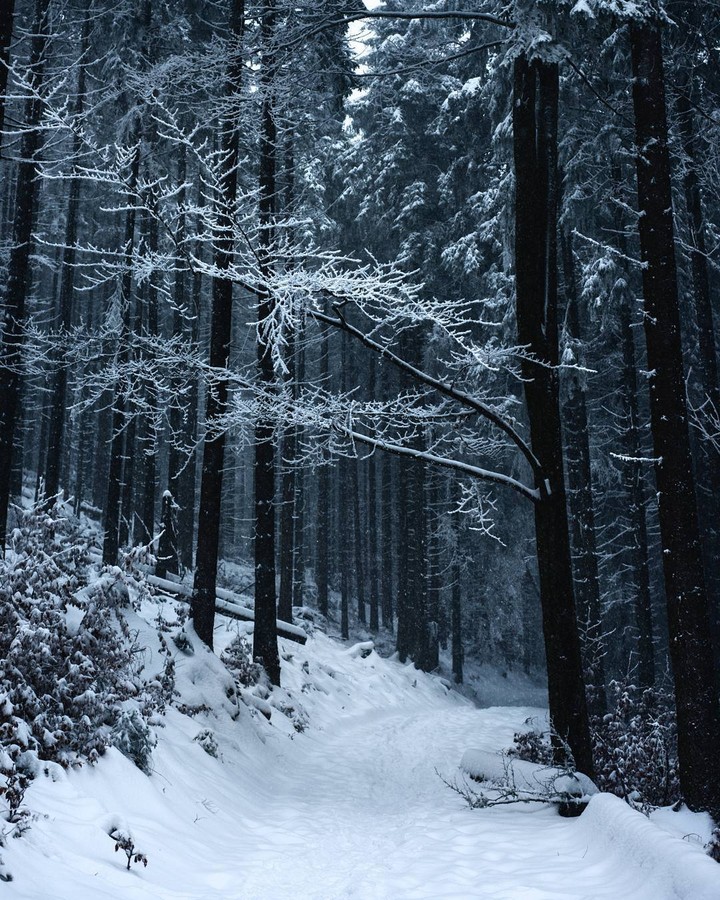 Winter