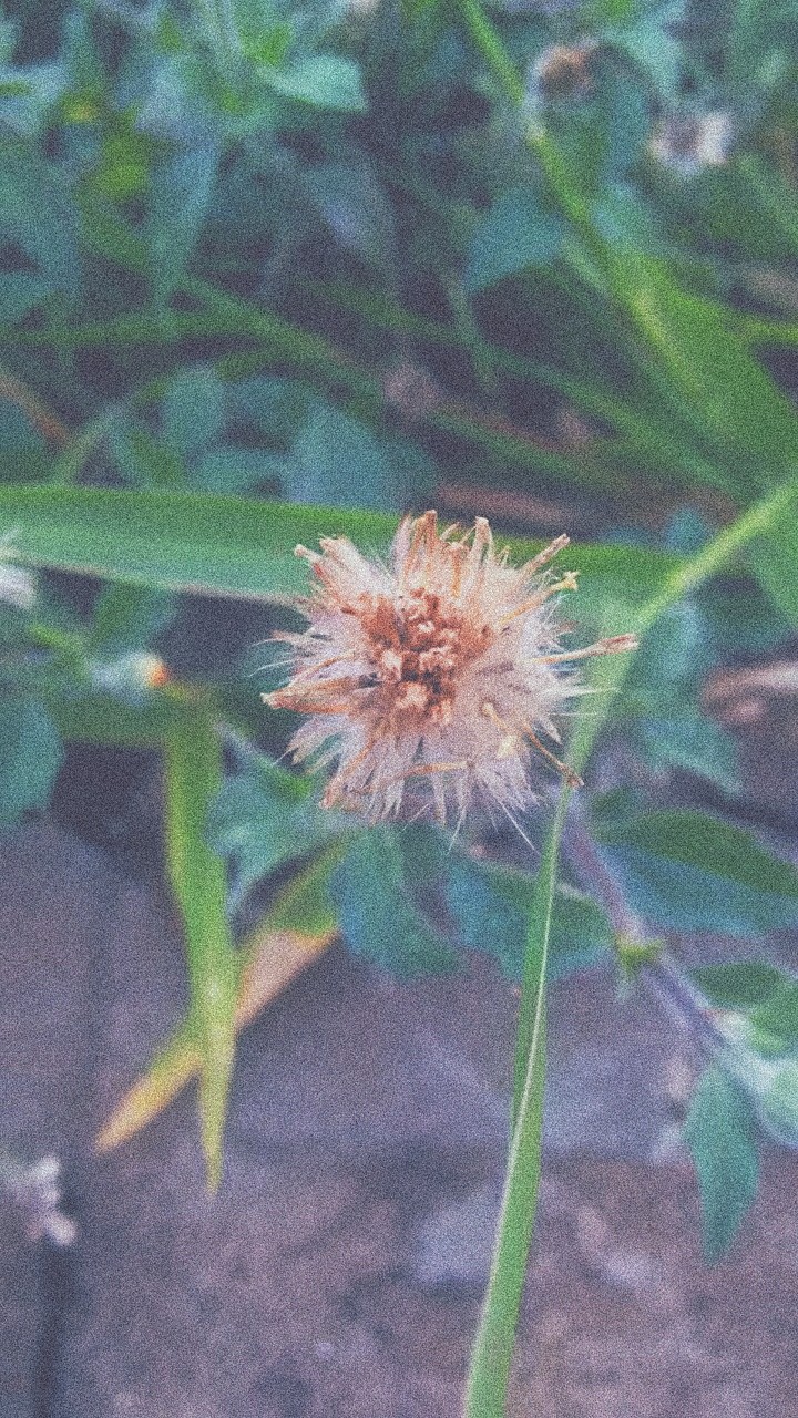 explosion