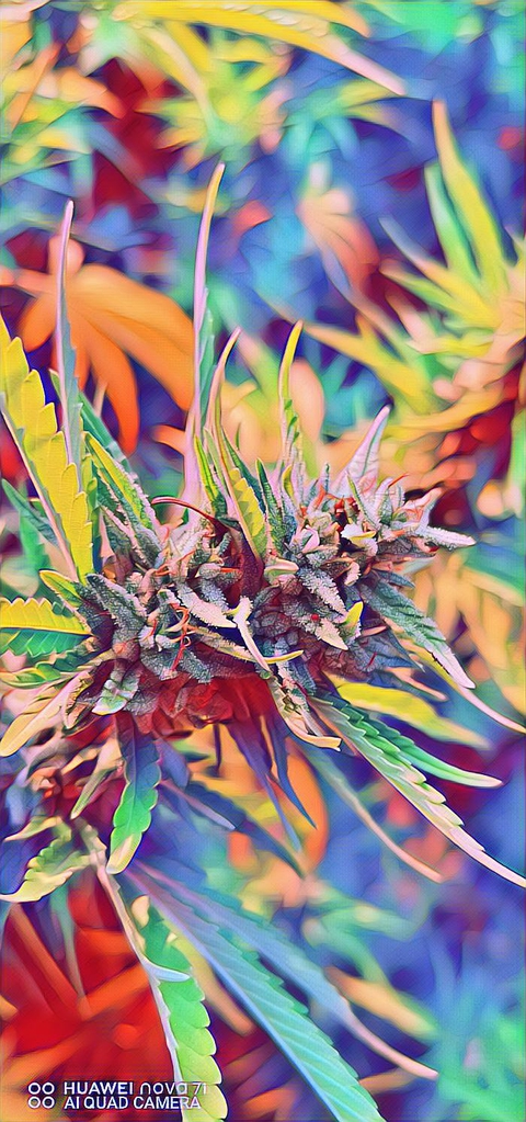 critical