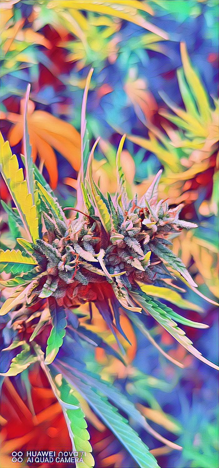 critical