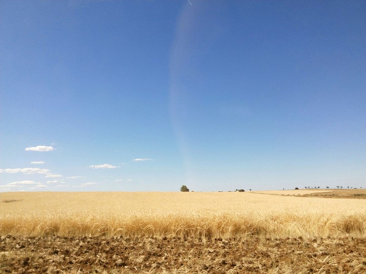 Land