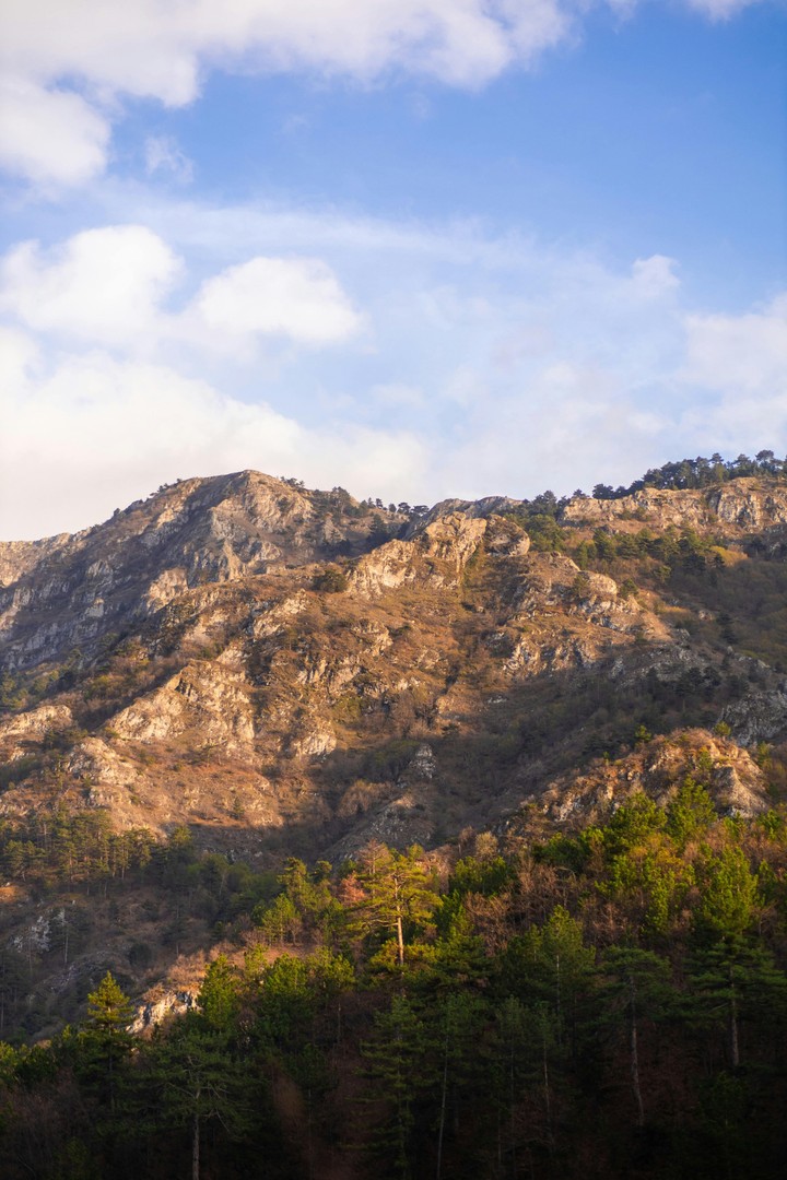 hình nền Rock, ecoregion