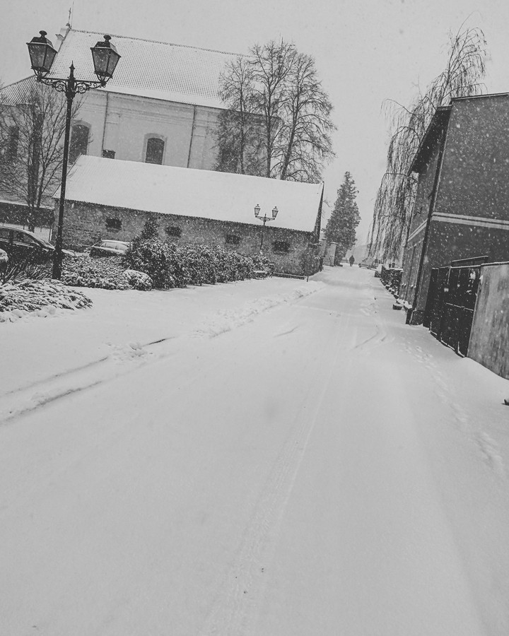 Czarno-biała zima ❄️