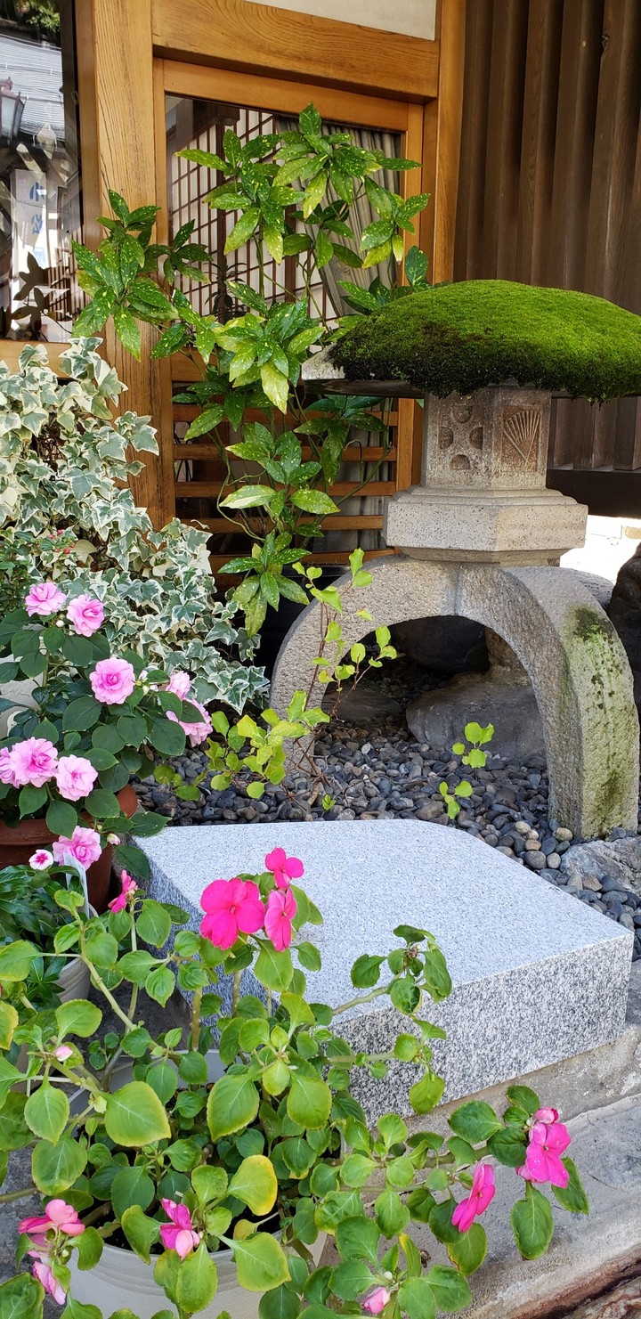 庭園