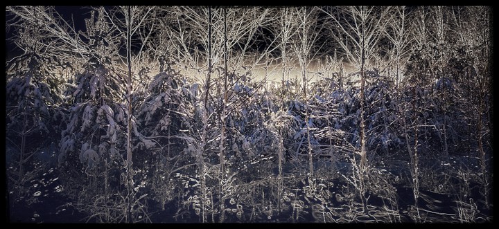 Winter landscape
