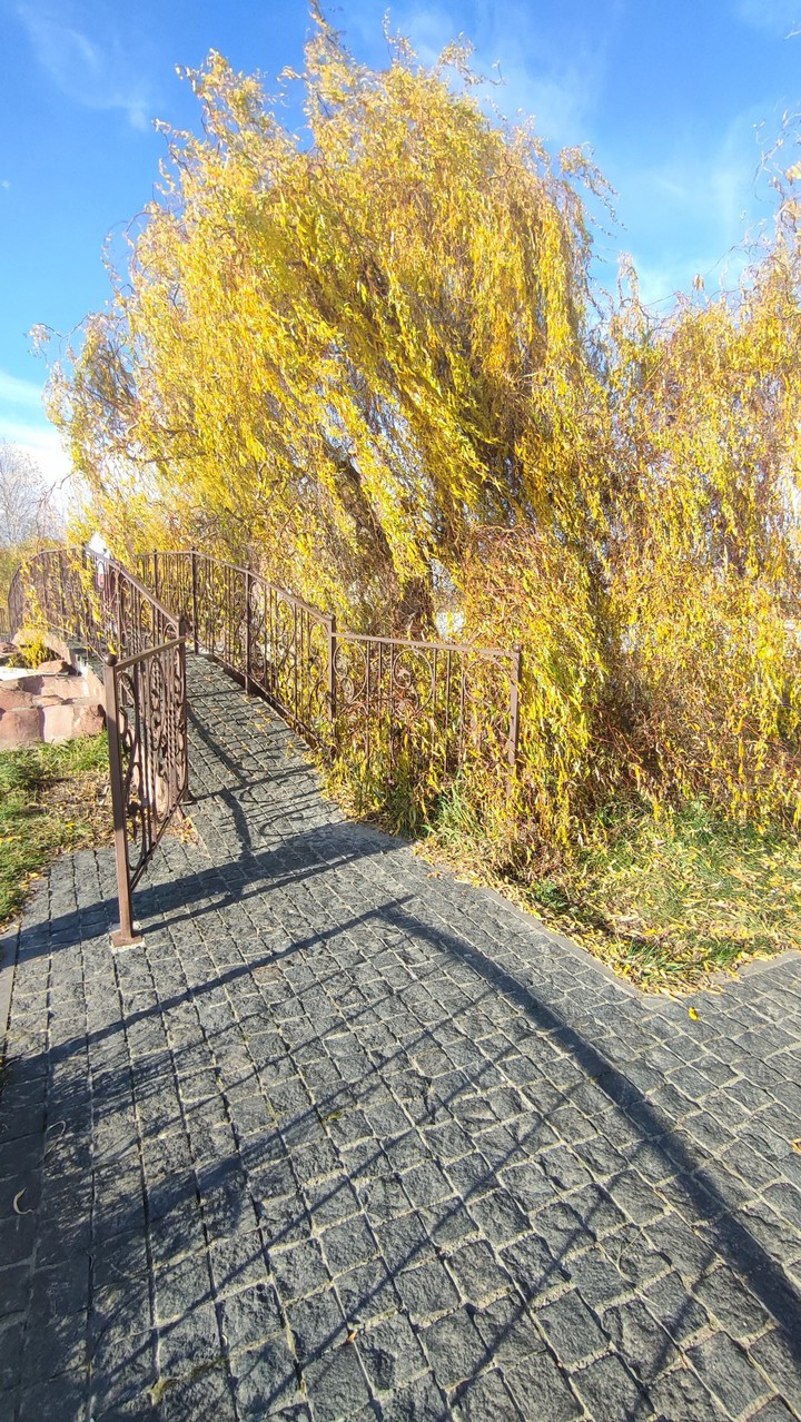 bridge
