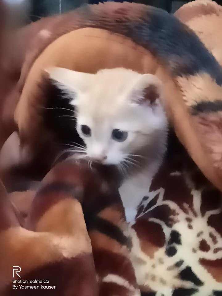 cute ?