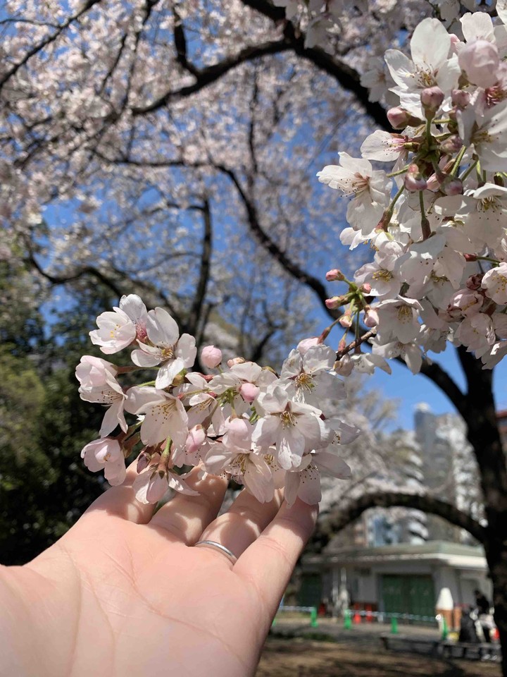 新宿御苑