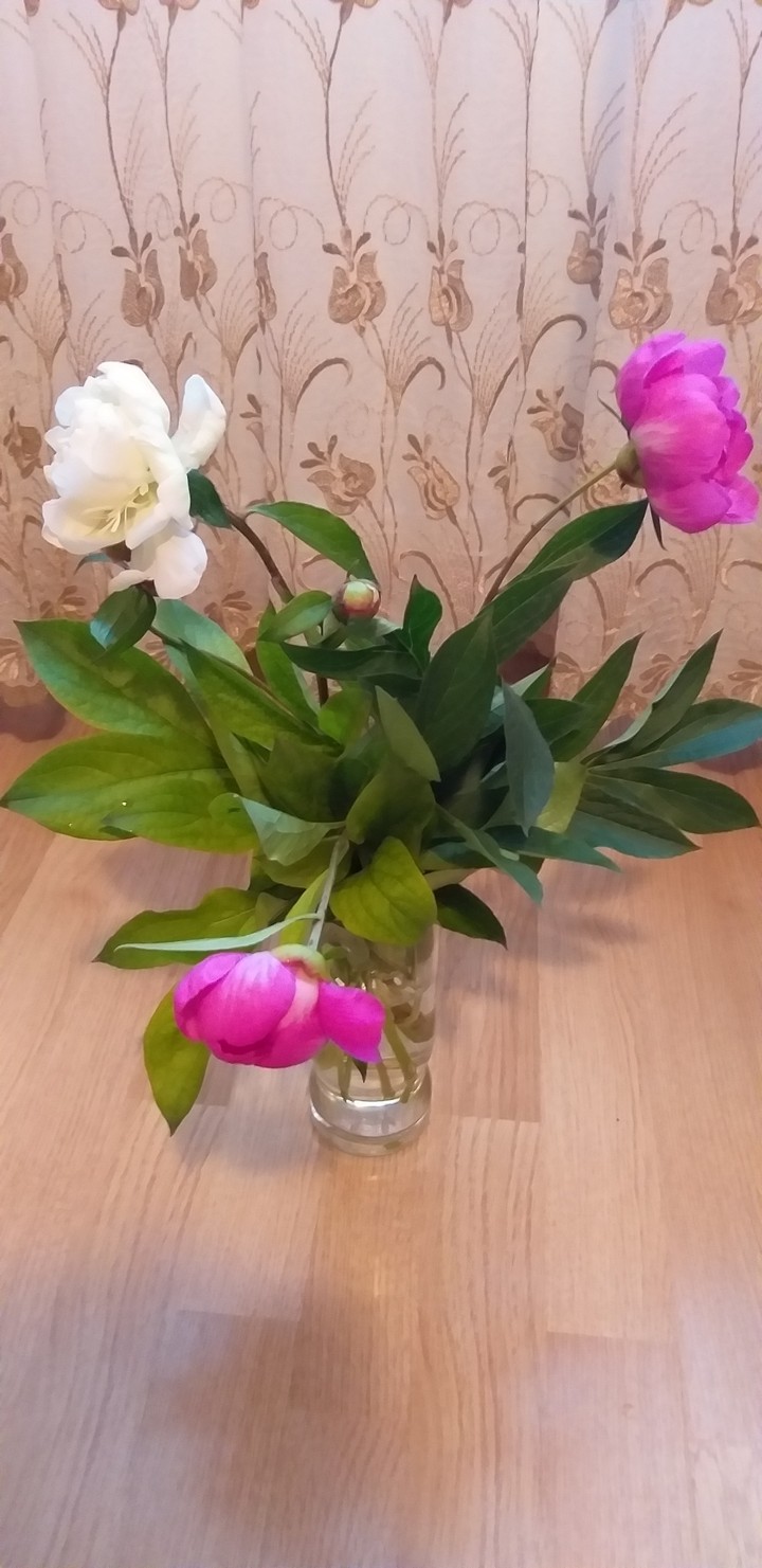 Beautiful flowers!??