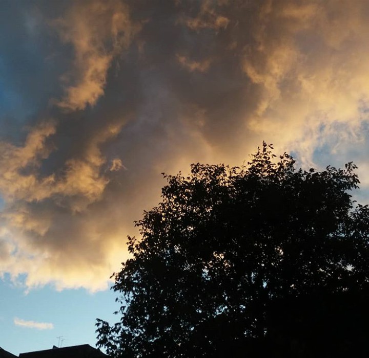 the nature is a  beautiful
