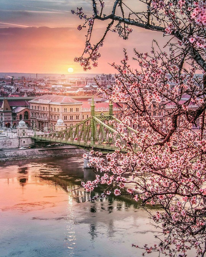 pink palaces