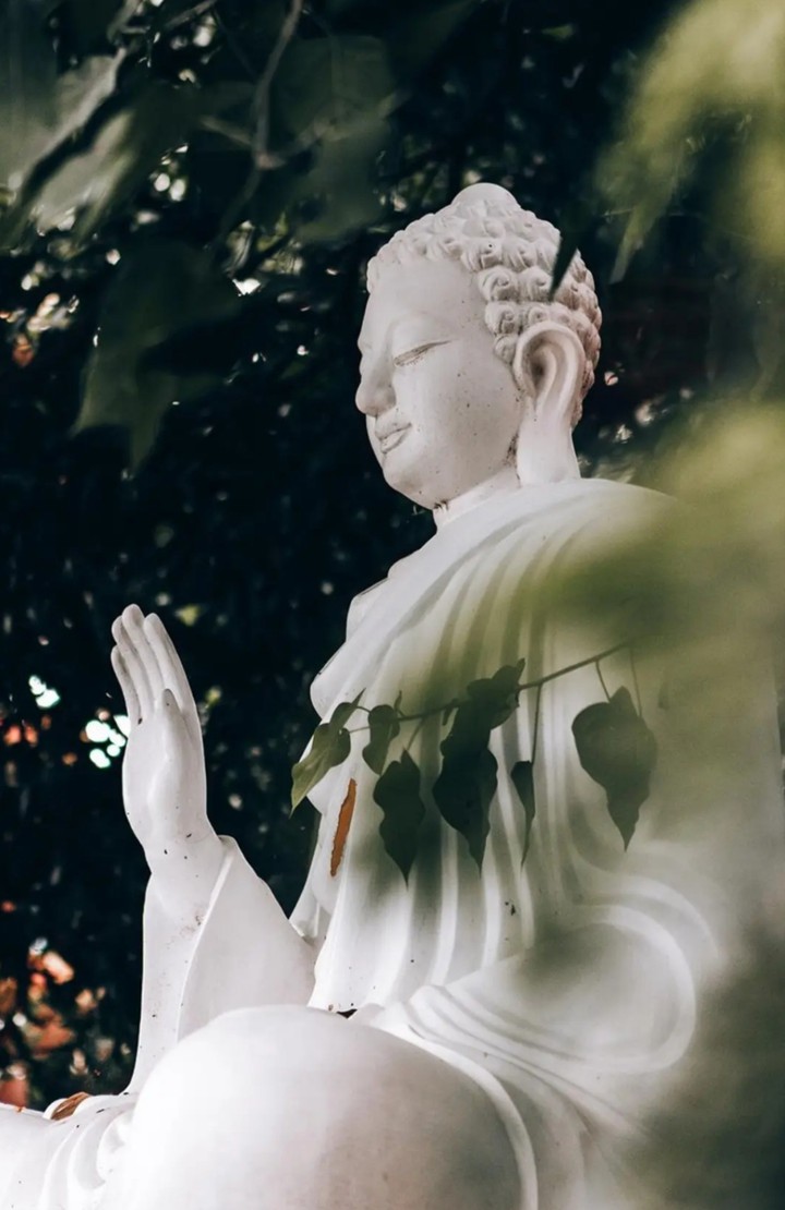 peace