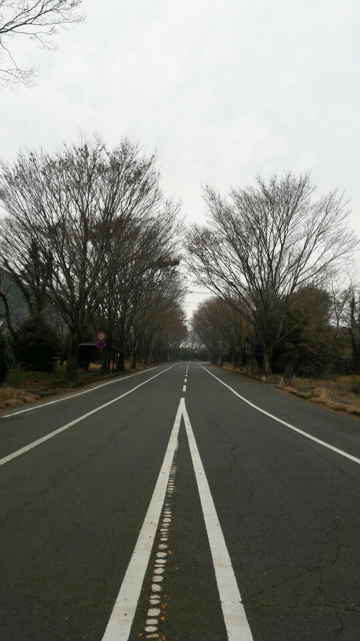 roads