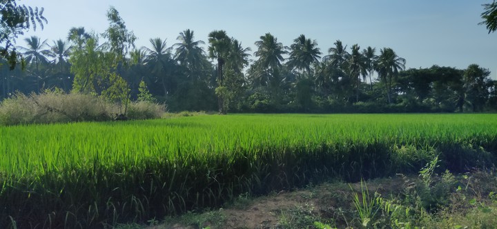 A roadtrip through villages