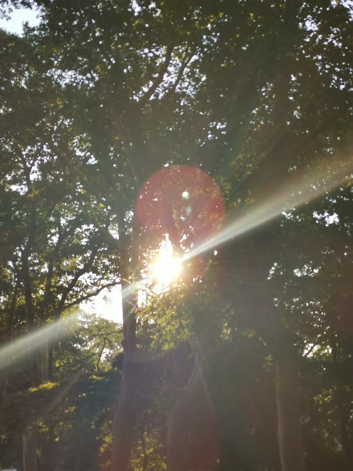 Hope
