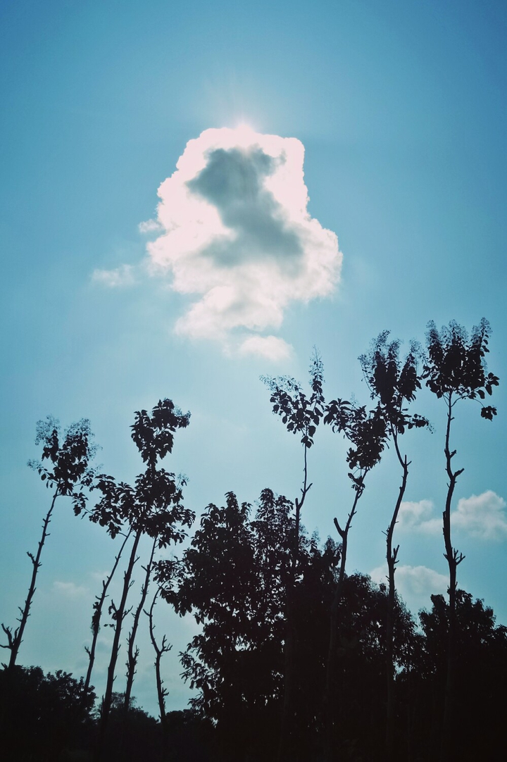 Nature