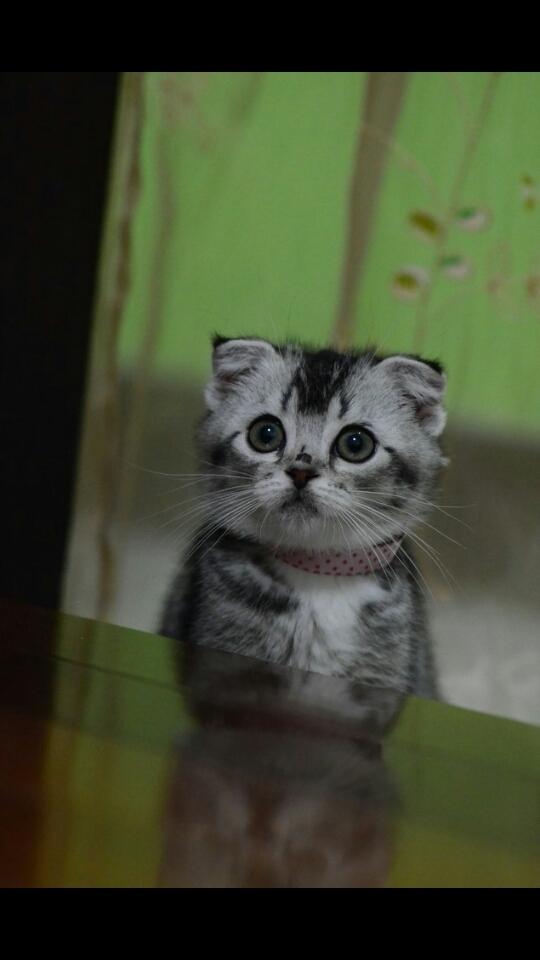sweet