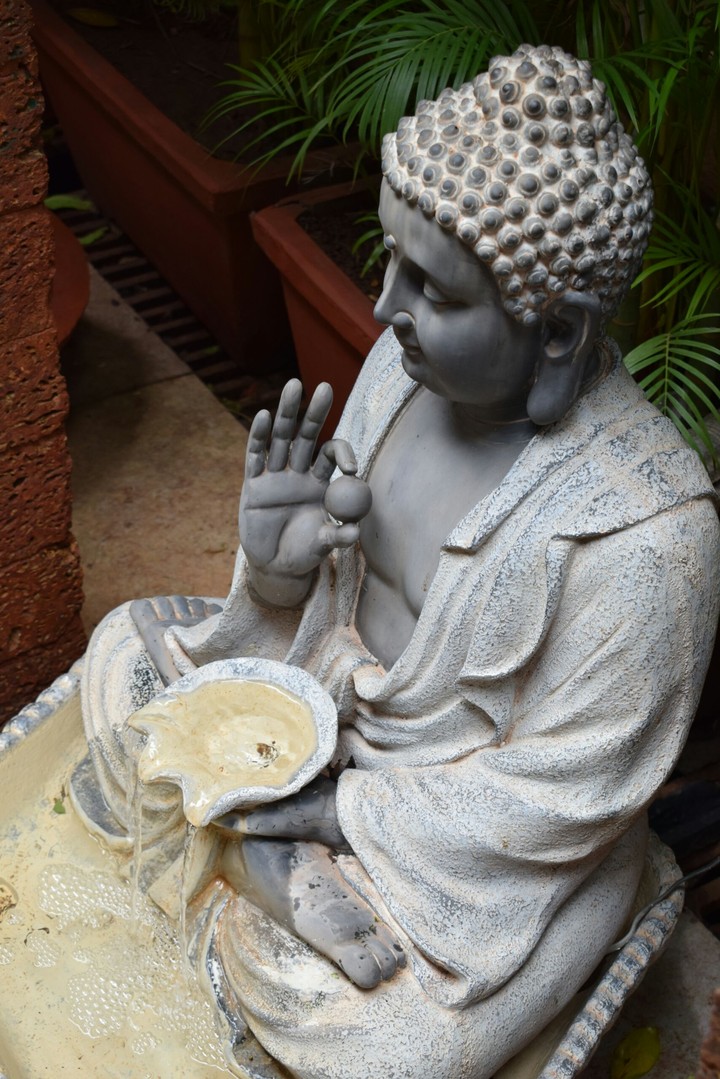 Buddha