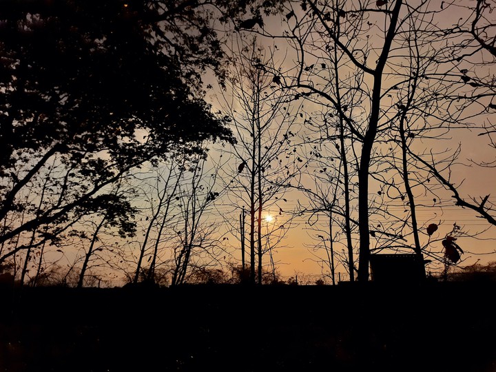 sunset