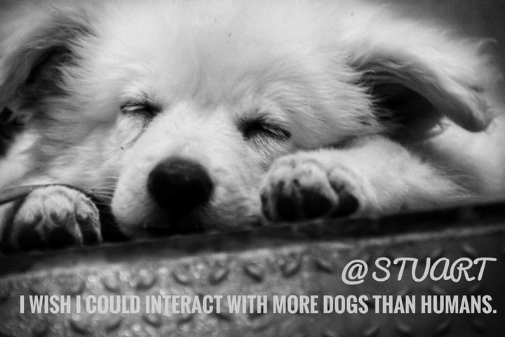 There is no stronger bond than a man and his dog!
.