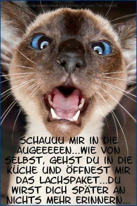 Chefsache