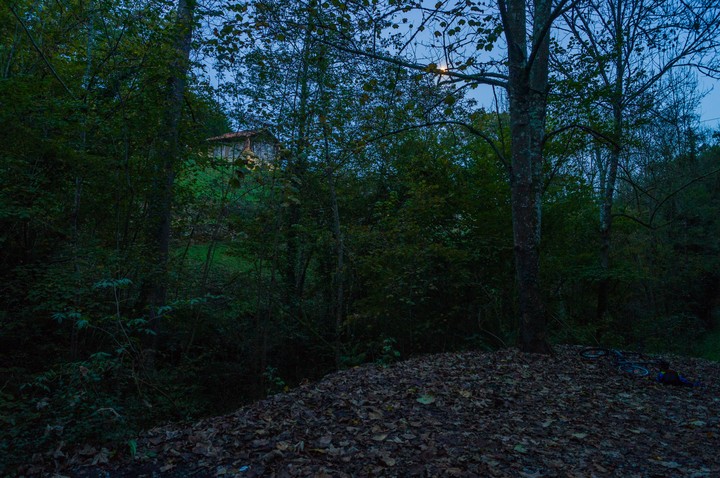 house in the woods