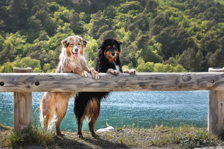 Friends