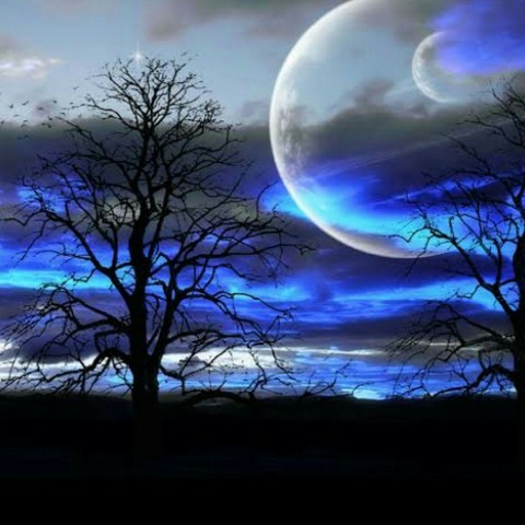 Amazing Fantasy!