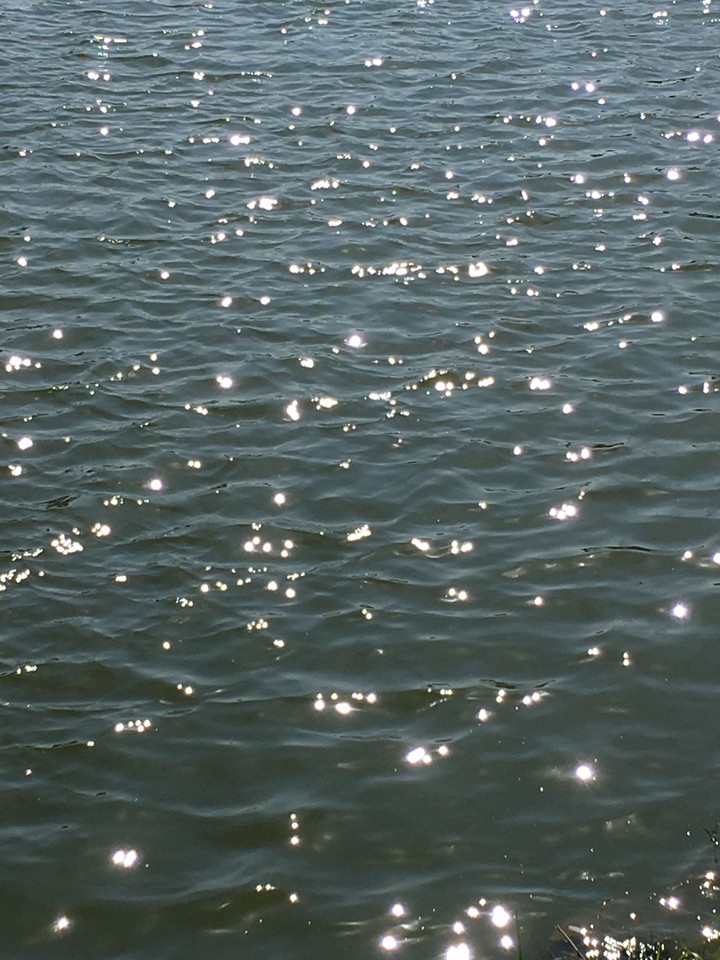 reflection