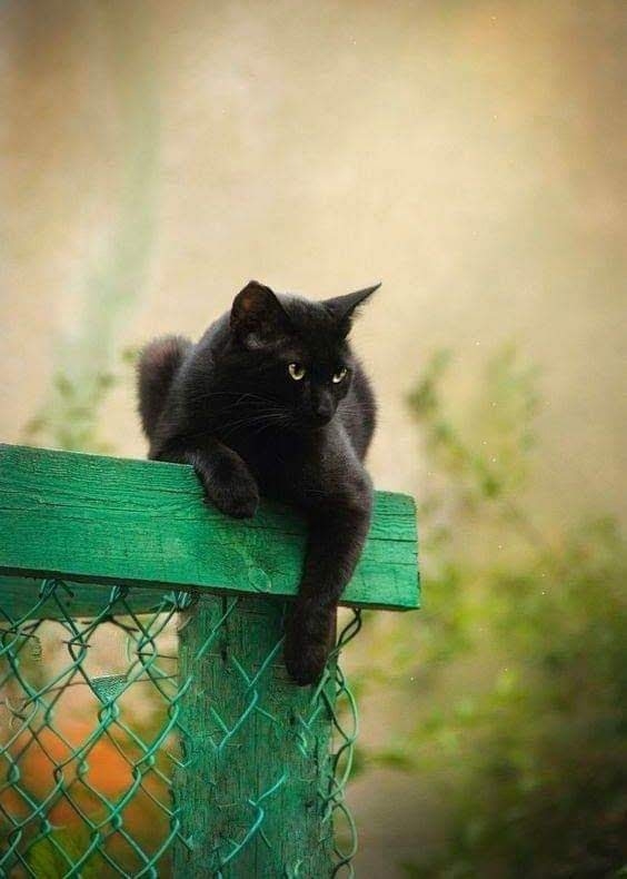 Beauté de la nature
