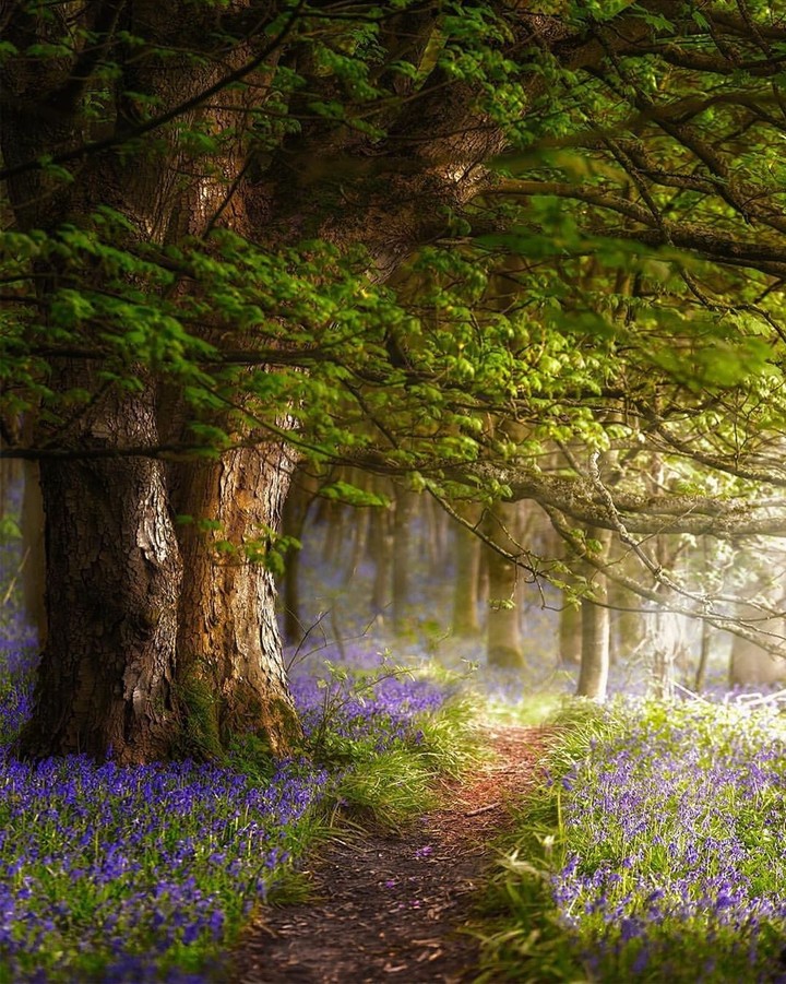 Pathway